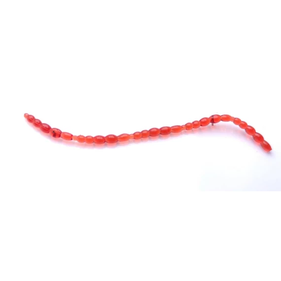 Perch'ik Blood Worm szunyog lárva 1